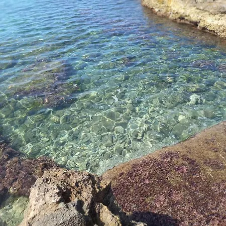 Gioia